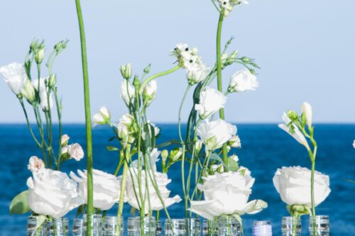 Bodas-©-Diego-Blanco-184