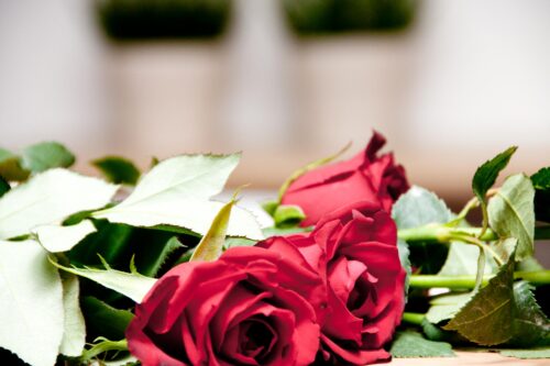 Bodas-©-Diego-Blanco-261